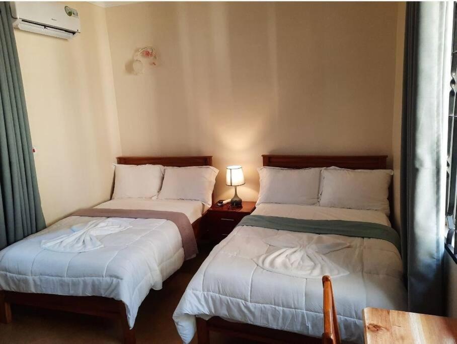 Ellyz Home Stay 莫希 外观 照片