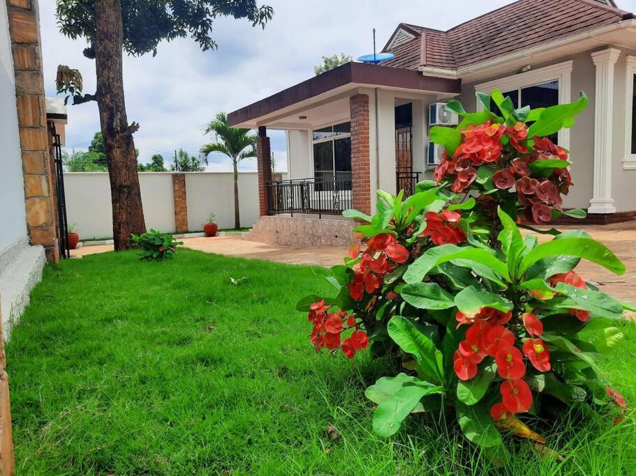 Ellyz Home Stay 莫希 外观 照片